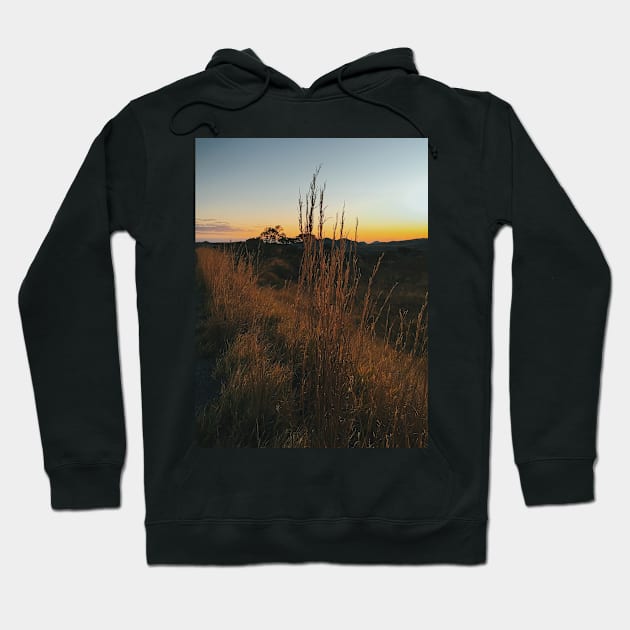 Sunset in Brazilian National Park (Chapada dos Veadeiros, Goias) Hoodie by visualspectrum